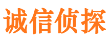 汉阳市侦探调查公司